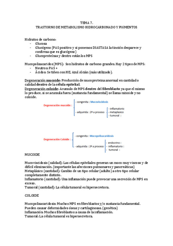 Miniatura del documento Metabolismo hidrocarbonado.pdf