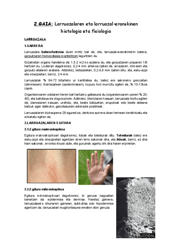 Miniatura del documento 2.pdf