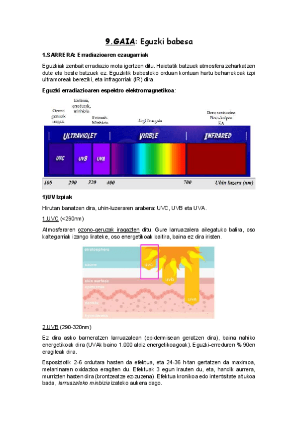 Miniatura del documento 9.pdf