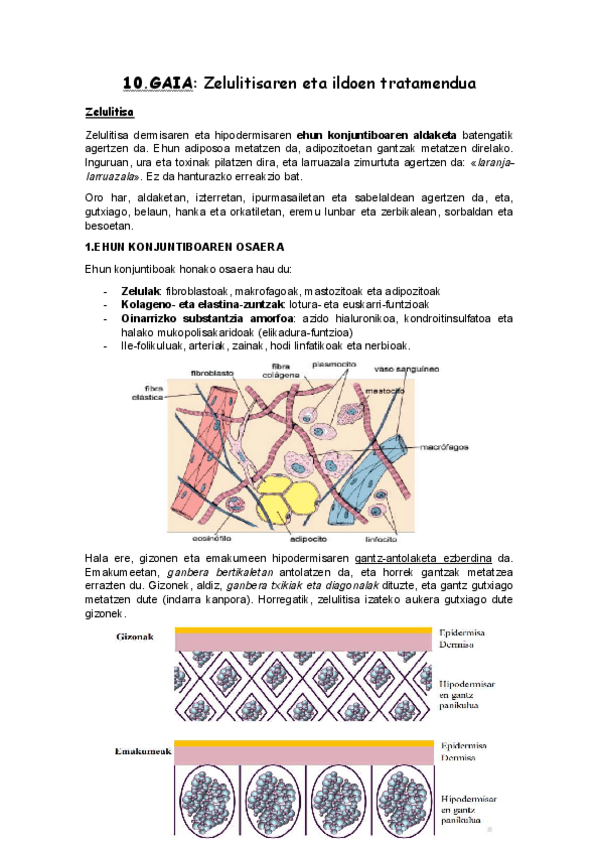 Miniatura del documento 10.pdf