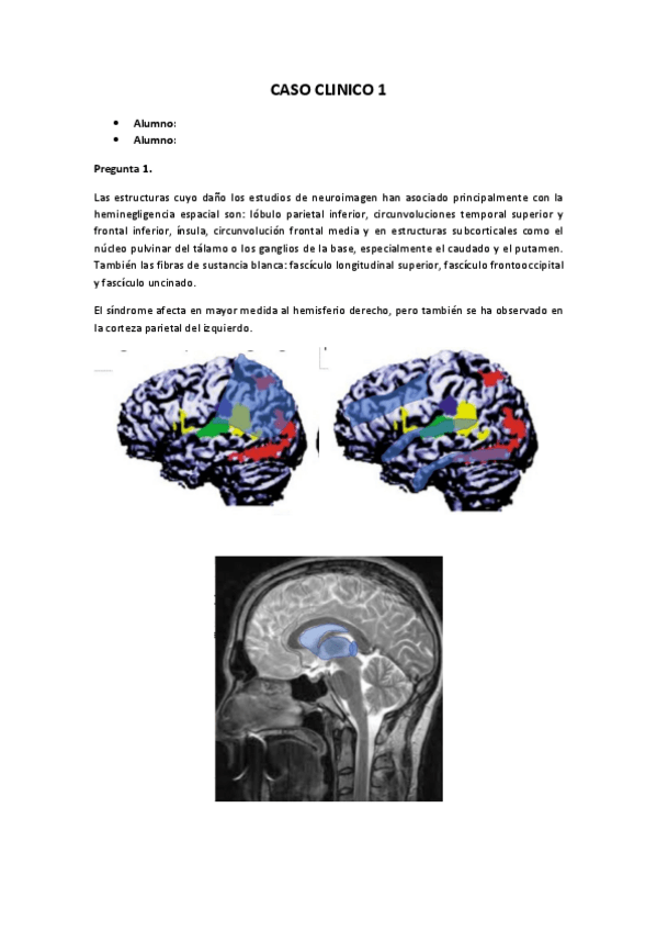 Miniatura del documento caso-clinico-1.pdf