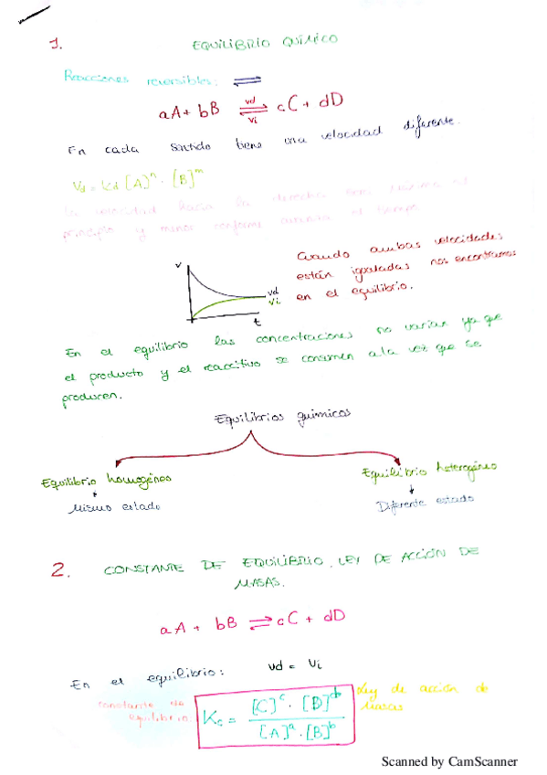 Miniatura del documento Apuntes Equilibrio Químico.pdf
