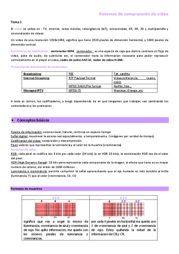 Miniatura del documento TEMA1Compresion-de-video.pdf