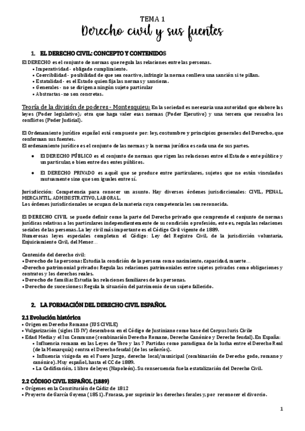 Miniatura del documento tema-1-civil.pdf