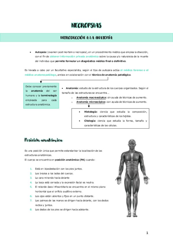 Miniatura del documento 1r-PARCIAL-NECRO.pdf