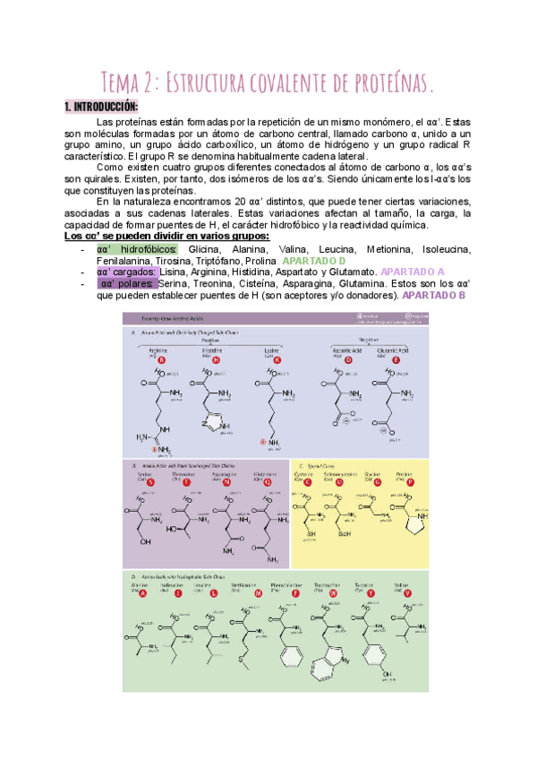 Miniatura del documento Tema-2-Estructura-covalente-de-proteinas.pdf