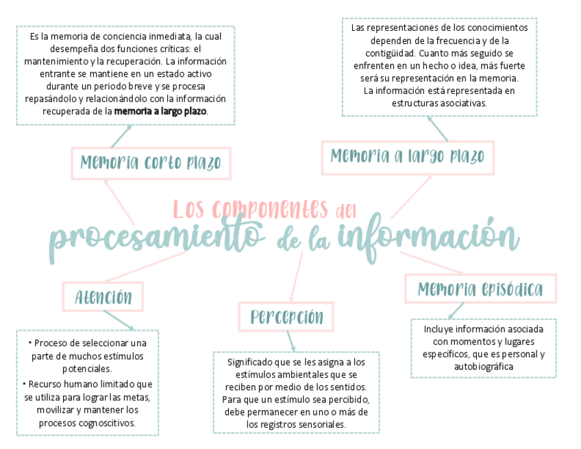 Miniatura del documento ComponentesdelProcesamientodelaInformacion.pdf