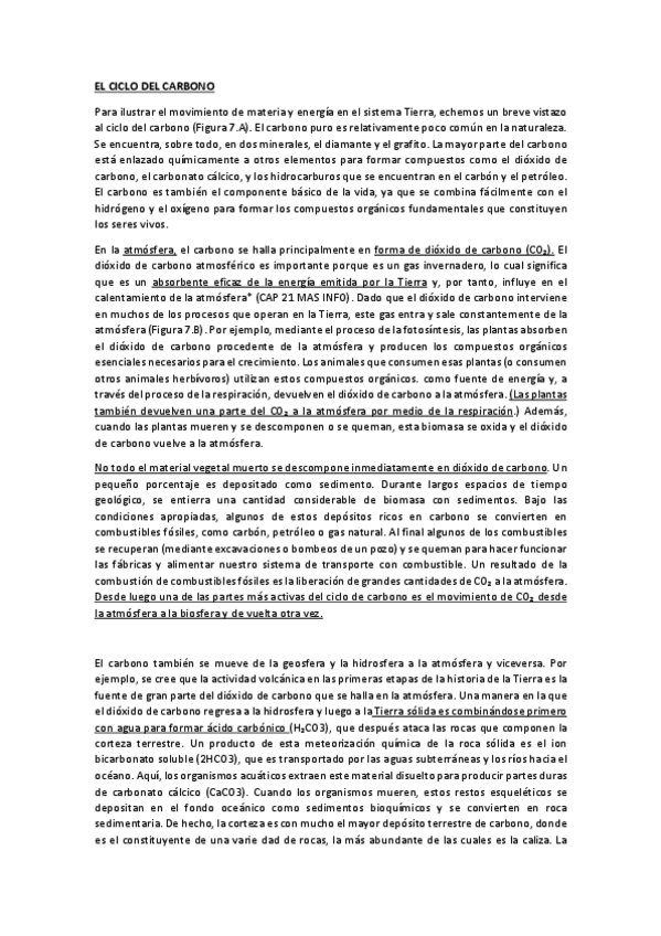 Miniatura del documento CICLO-DEL-CARBONO.pdf