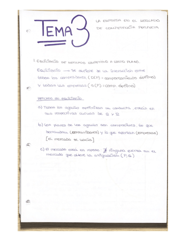 Miniatura del documento Tema-3.pdf