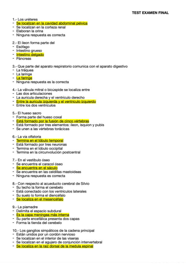 Miniatura del documento anatomia.pdf