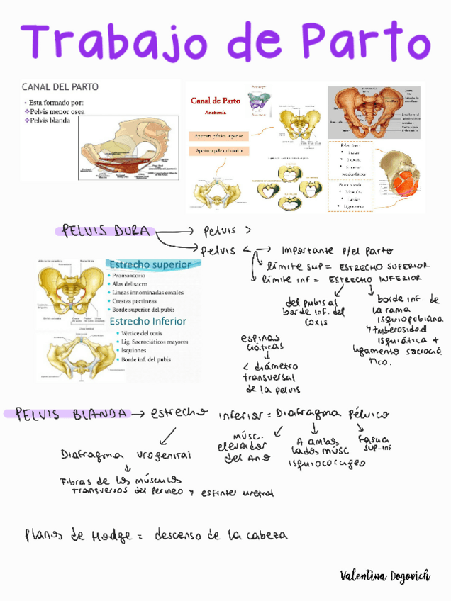 Miniatura del documento Trabajo-de-parto.pdf