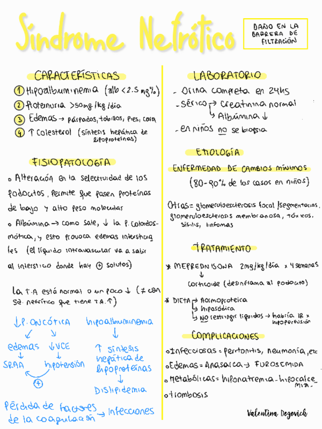 Miniatura del documento Sindrome-nefrotico.pdf
