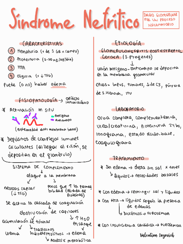 Miniatura del documento Sindrome-nefritico.pdf