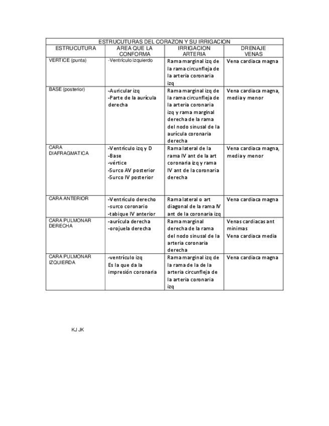 Miniatura del documento ESTRUCUTURAS-DEL-CORAZON-Y-SU-IRRIGACION-CUADRO.pdf