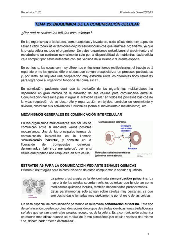 Miniatura del documento TEMA-25-BIOQUIMICA-PARTE-II.pdf