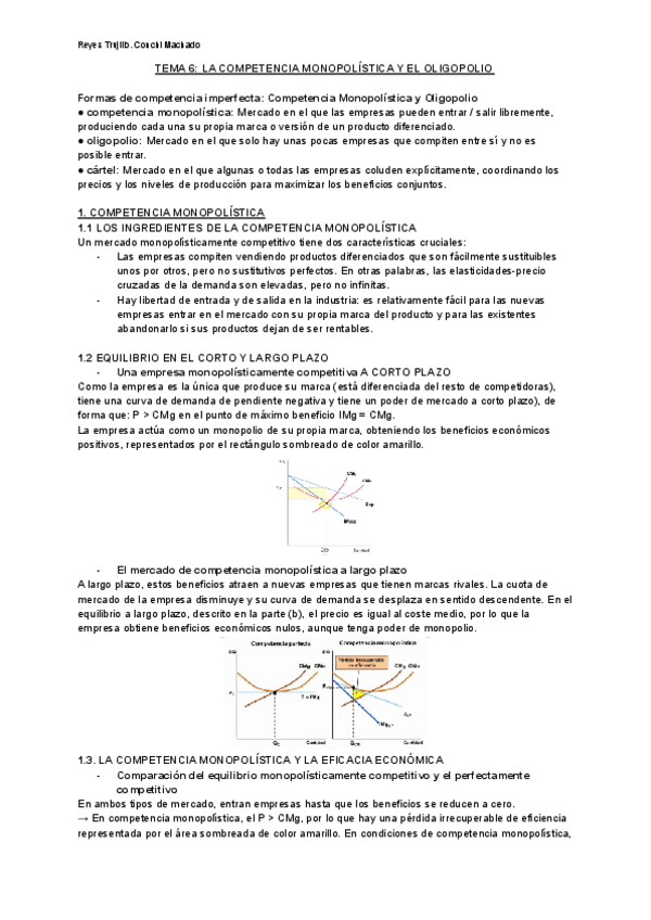 Miniatura del documento TEMA-6.pdf