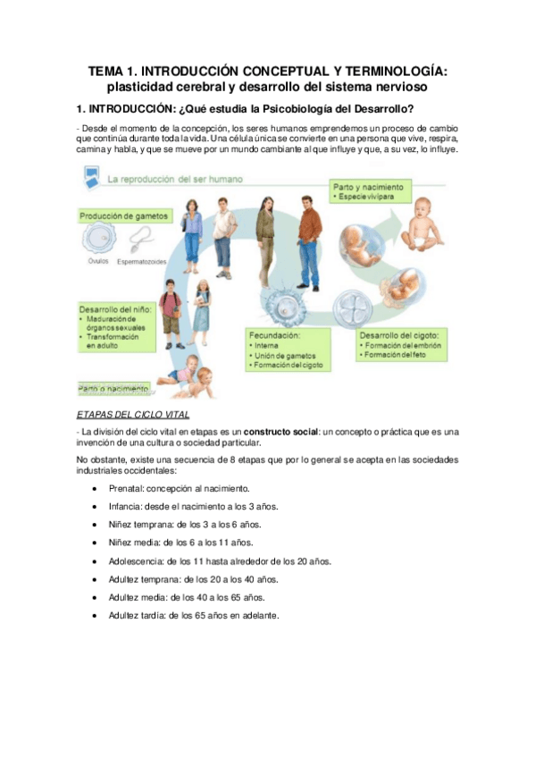 Miniatura del documento Temario-PDS.pdf