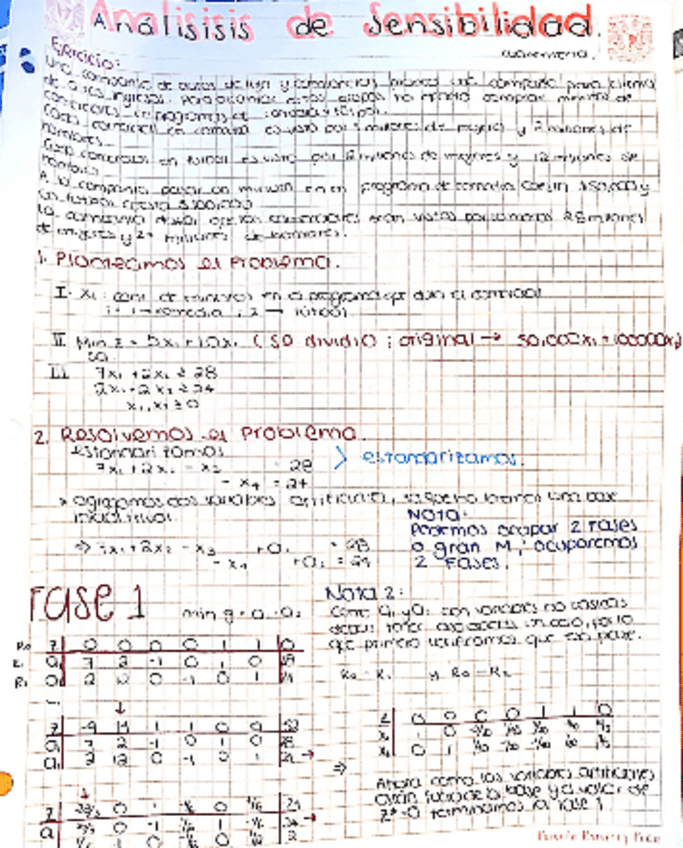 Miniatura del documento Analisis-de-Sensibilidad-1.pdf
