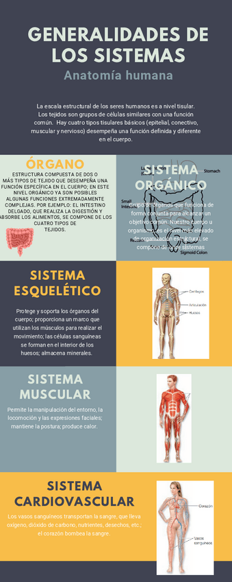 Miniatura del documento Act2.pdf