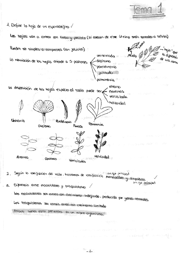 Miniatura del documento merged (5).pdf