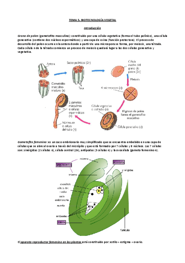 Miniatura del documento Tema-5.pdf