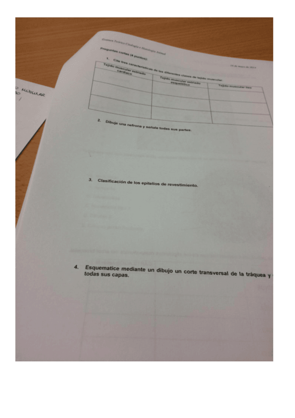 Miniatura del documento EXAMEN-CITO-FOTOS.pdf