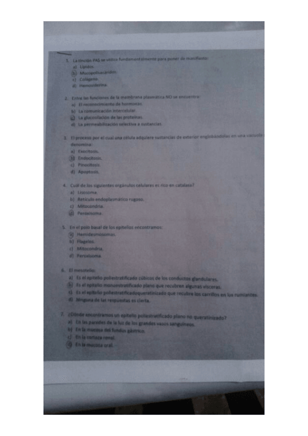 Miniatura del documento examen-cito.pdf