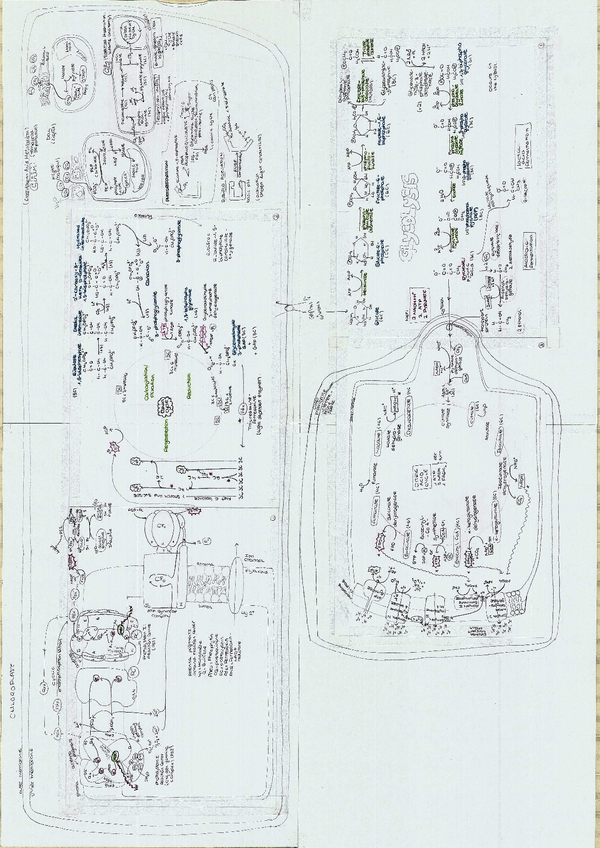 Miniatura del documento Workshop-9-and-10.pdf