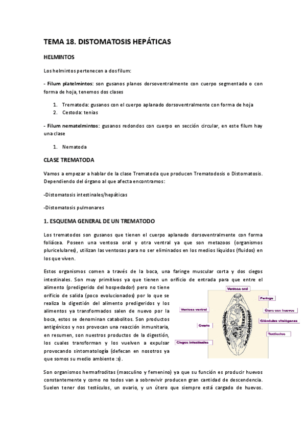Miniatura del documento TEMA-18-Distomatosis-hepatica.pdf