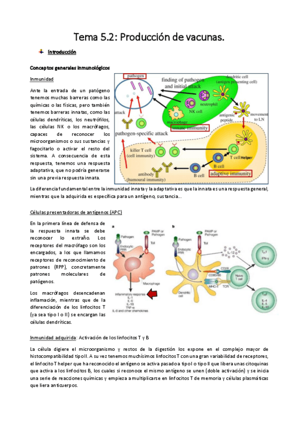 Miniatura del documento Tema 5.2