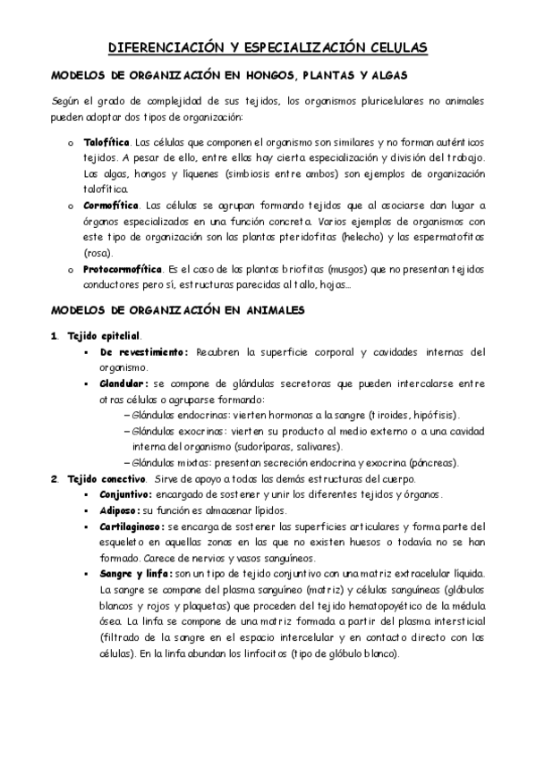 Miniatura del documento LOS-TEJIDOS-PDF.pdf