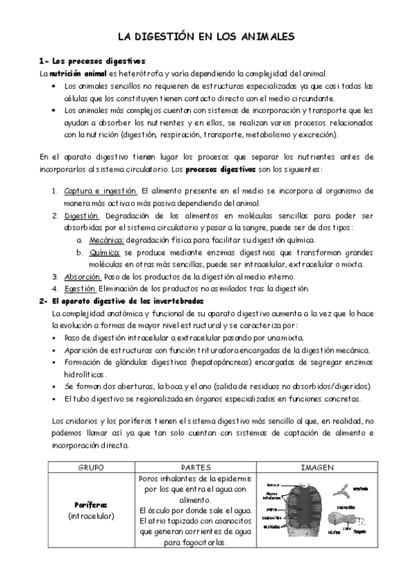 Miniatura del documento DIGESTION-EN-LOS-ANIMALES.pdf