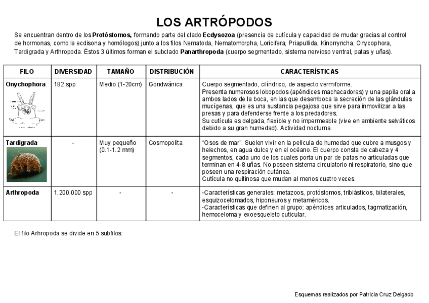 Miniatura del documento EsquemasdeZoo2.pdf