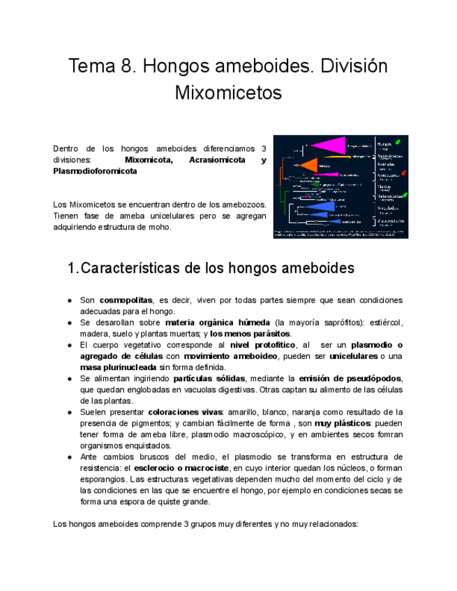 Miniatura del documento Tema-8.pdf