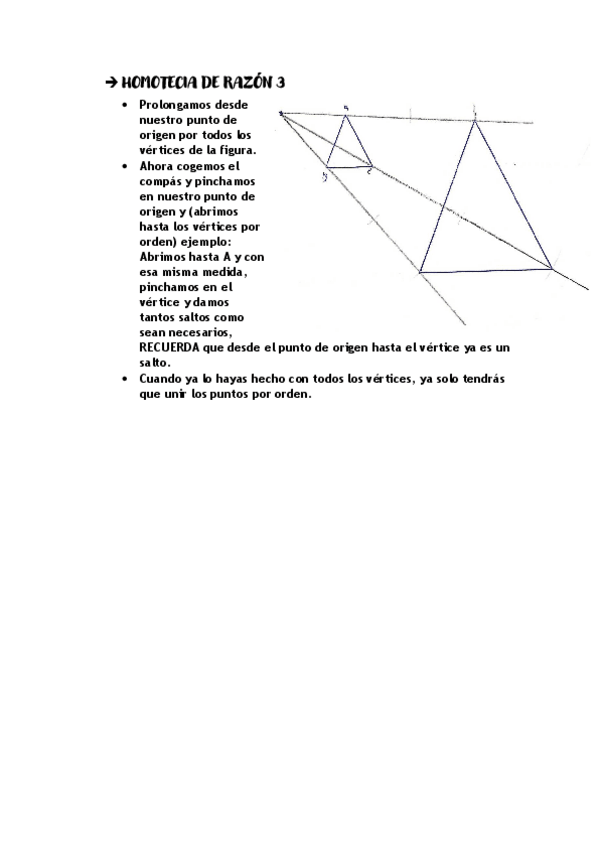 Miniatura del documento homotecia-de-razon-3.pdf