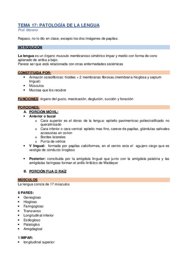 Miniatura del documento TEMA-17.pdf