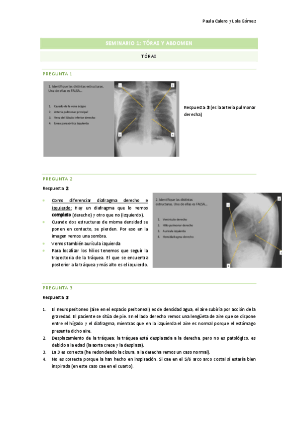 Miniatura del documento Seminario-1.pdf