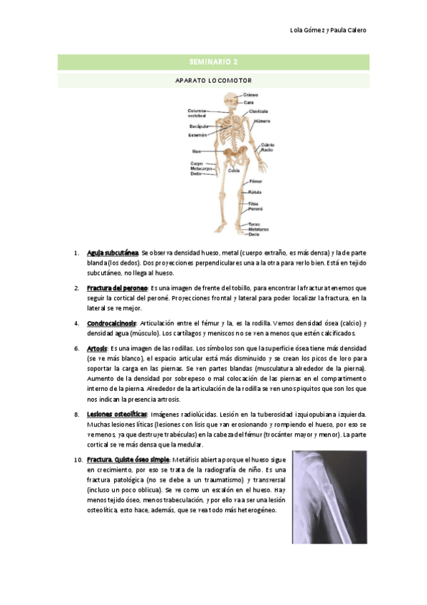 Miniatura del documento Seminario-2.pdf