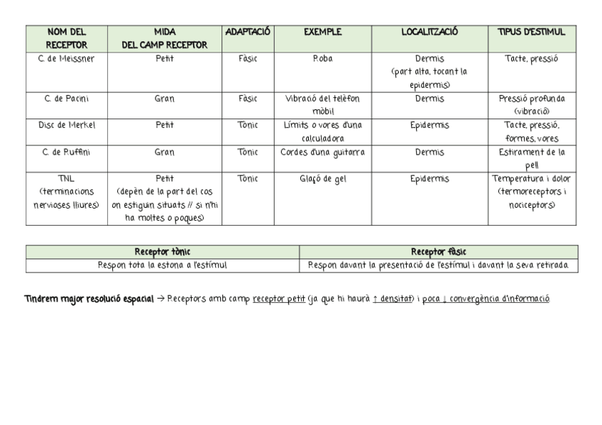 Miniatura del documento TAULA-DE-RECEPTORS-I-PREGUNTES-TIPUS-EXAMEN.pdf