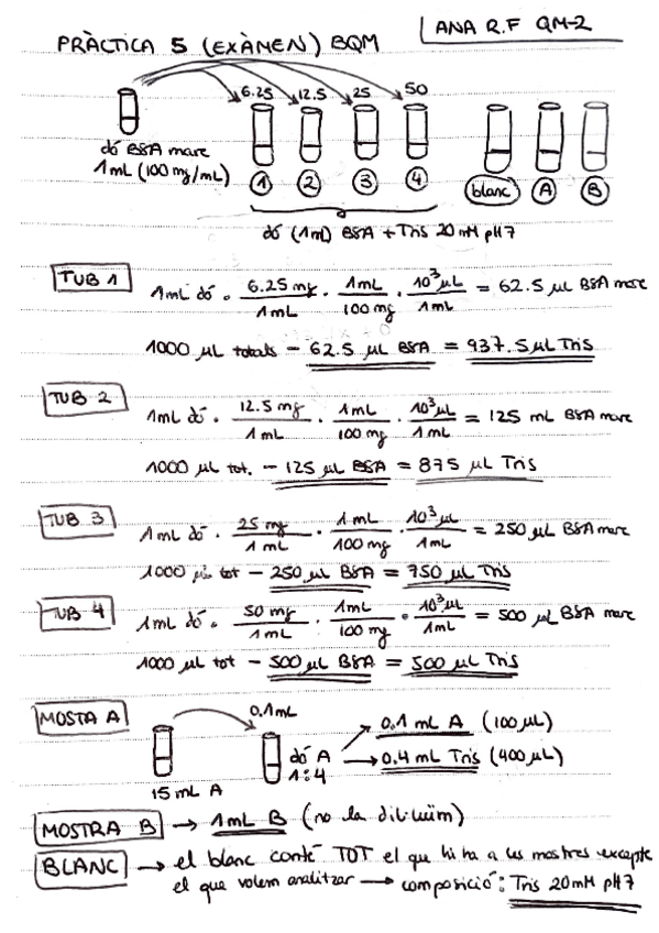Miniatura del documento P5.pdf