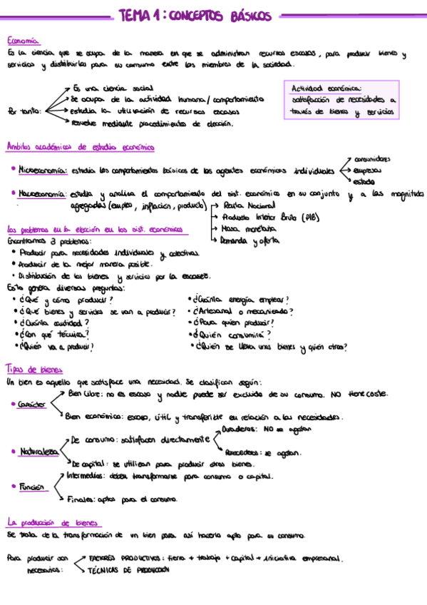 Miniatura del documento Apuntes-Microeconomia.pdf