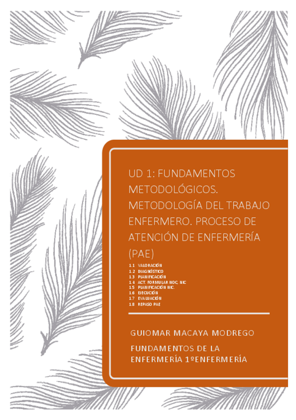 Miniatura del documento BLOQUE-1-PAE-FUNDAMENTOS-PDF.pdf