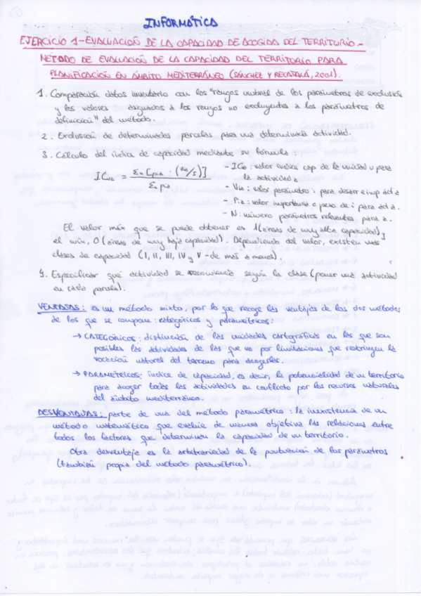 Miniatura del documento resumen informática eia.pdf