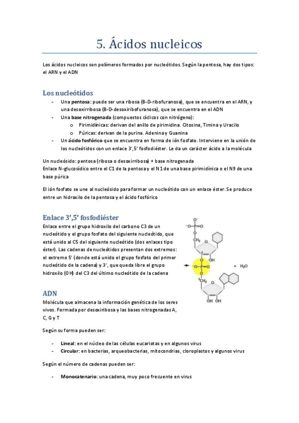 Miniatura del documento 5.pdf