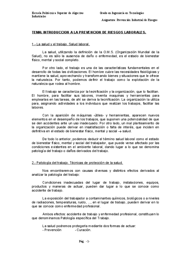 Miniatura del documento INTRODUCCION.pdf