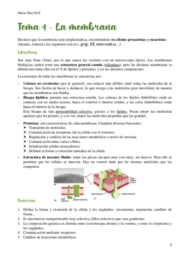 Miniatura del documento t4.pdf
