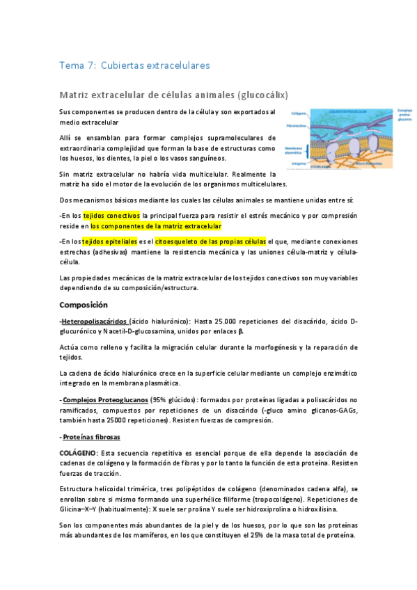 Miniatura del documento Tema-7bcm.pdf