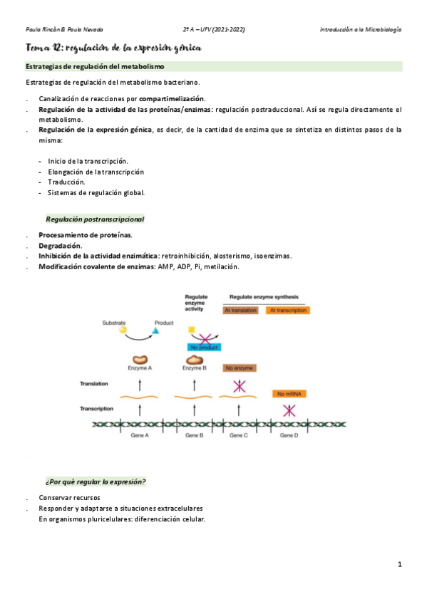Miniatura del documento Introduccion-a-la-Microbiologia-T12.pdf
