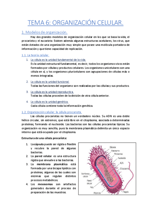 Miniatura del documento Tema-6-Organizacion-celular.pdf