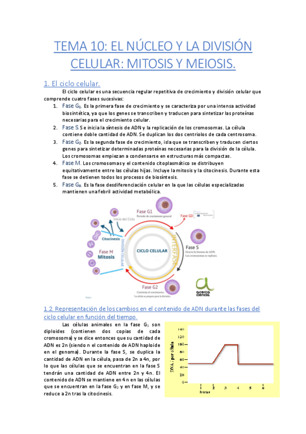 Miniatura del documento TEMA-10-Biologia.pdf